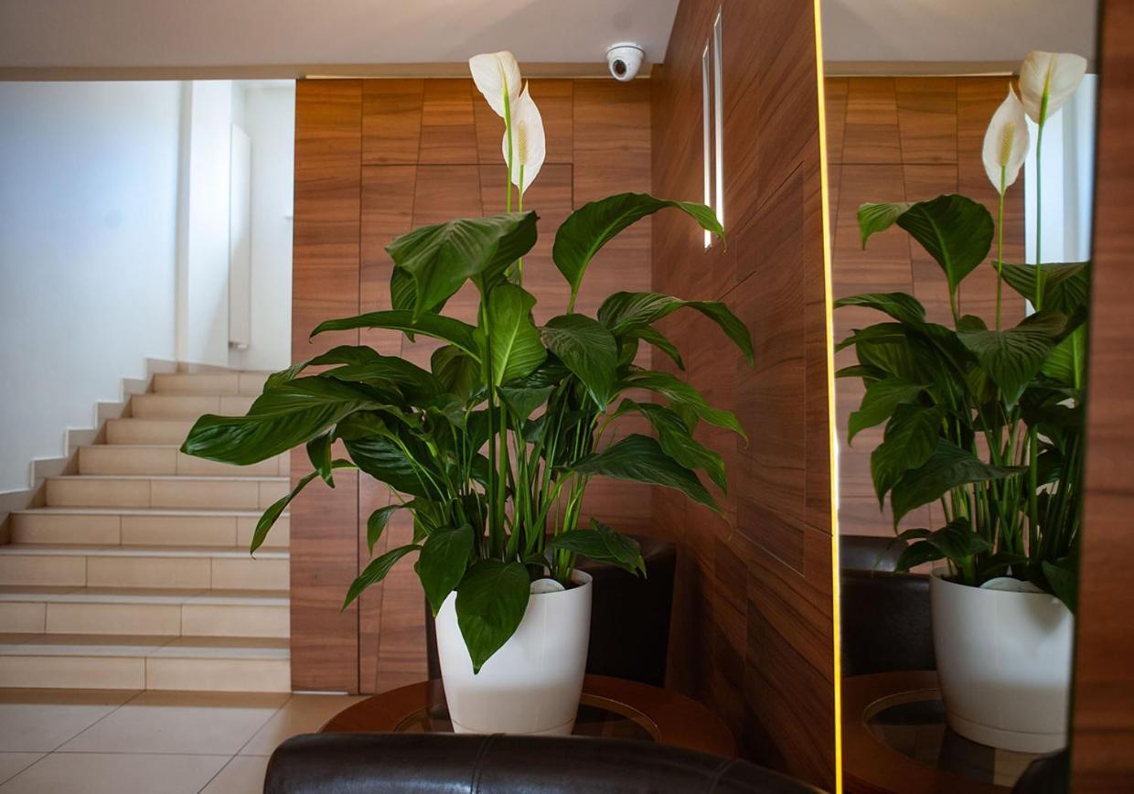 Hotel Livia Воломин Экстерьер фото