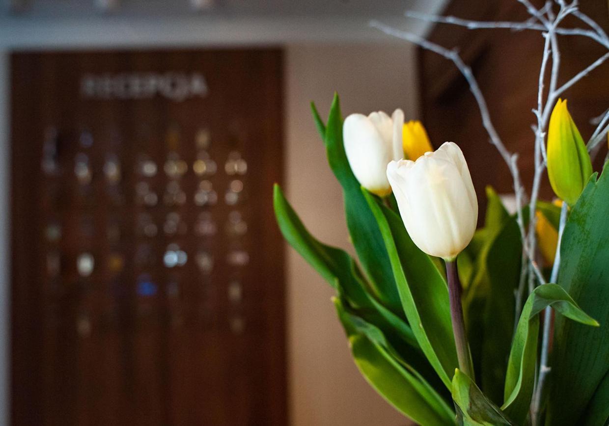 Hotel Livia Воломин Экстерьер фото